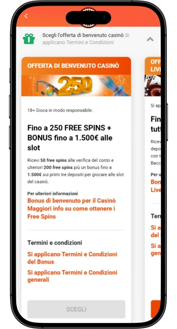 Utilizza il bonus del casinò