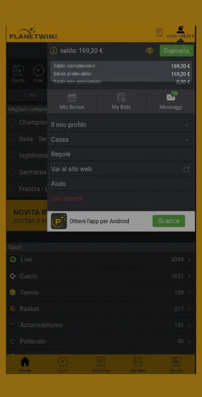 Verifica del saldo