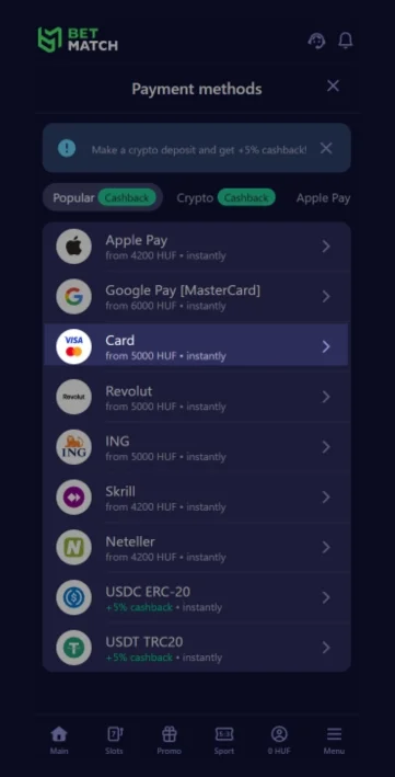 Selezionare Mastercard tra i metodi di pagamento proposti